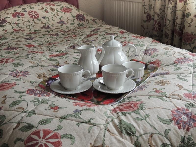 Stockleigh Lodge B&B Exford Εξωτερικό φωτογραφία