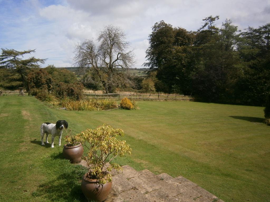 Stockleigh Lodge B&B Exford Εξωτερικό φωτογραφία